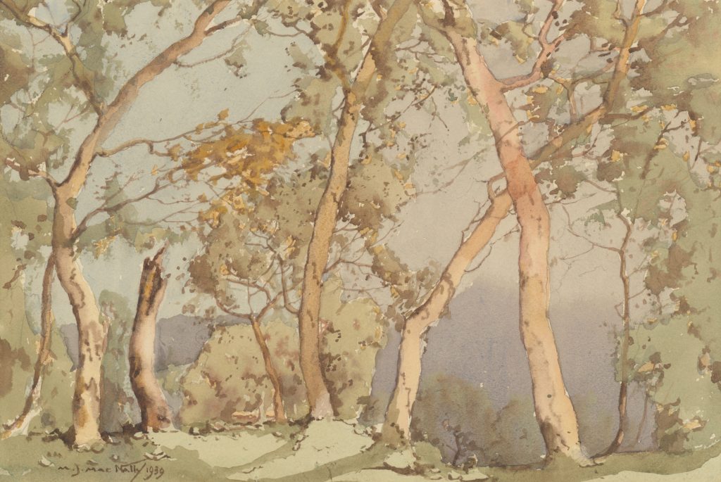 Matthew James MacNALLY 'Trees' 1939, watercolour, 25.0 x 35.0 cm [sheet]; 45.0 x 54.4 cm [frame]. Donated in memory of Alison L. McInnis, 2018. 2018.13. Benalla Art Gallery Collection